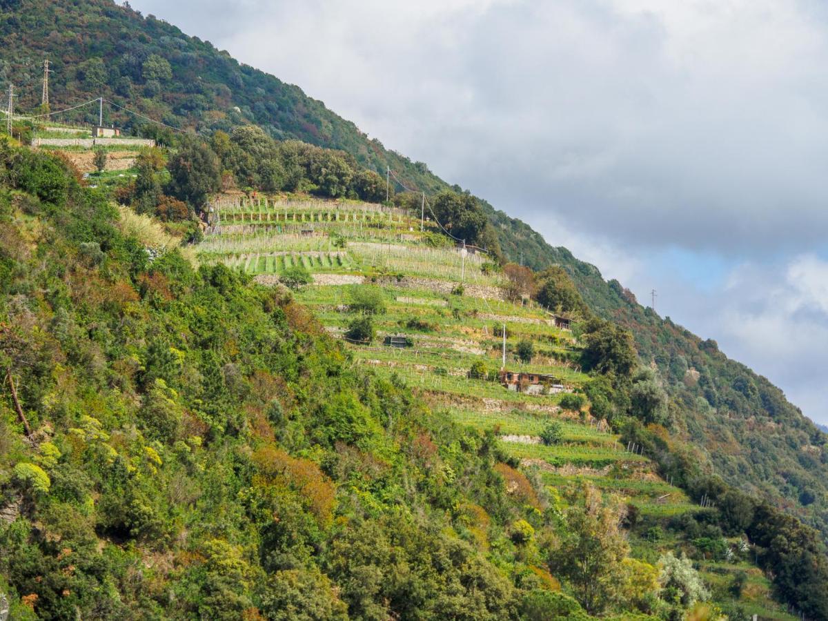 Villa Tanca With Ac, Terrace And Views Monterosso al Mare Exterior photo